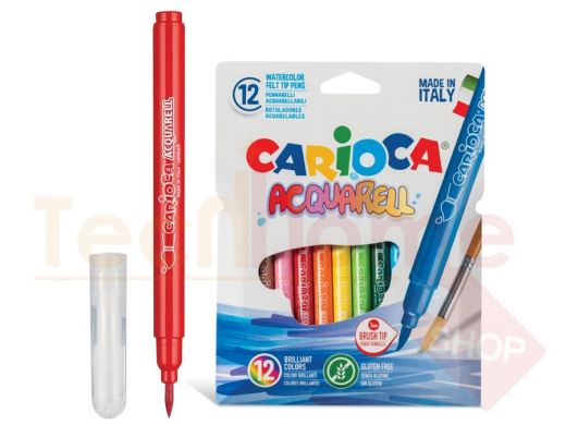 Фломастеры акварельные CARIOCA (Италия) 