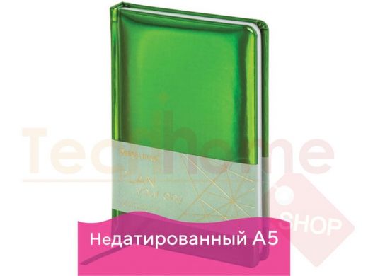 Ежедневник недатированный А5 (138x213 мм) BRAUBERG 