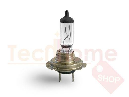 Галогенная лампа AVS Vegas H18.12V.65W (1 шт.)