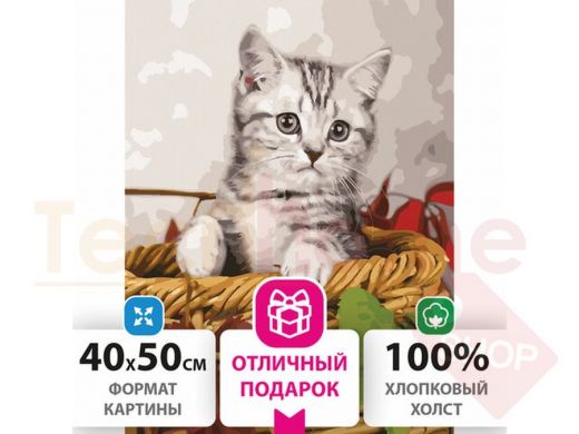 Картина по номерам 40х50 см, ОСТРОВ СОКРОВИЩ 