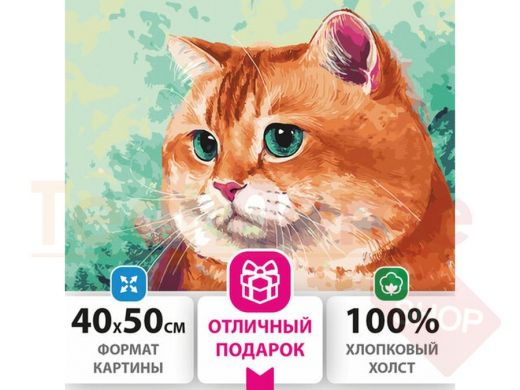 Картина по номерам 40х50 см, ОСТРОВ СОКРОВИЩ 