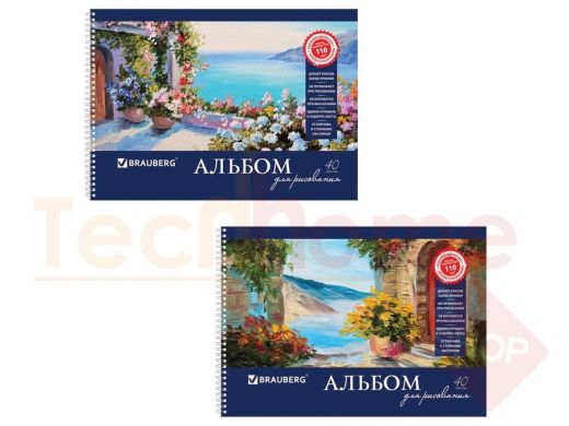 Альбом д/рис. А4 40л., гребень, обложка картон, BRAUBERG, 205х290мм, Пейзаж с цветами