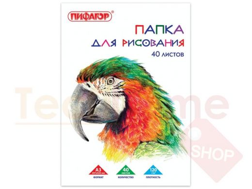 Папка для рисования БОЛЬШОГО ФОРМАТА А3, 40л., 120 г/м2, ПИФАГОР, 297х420мм, Попугай