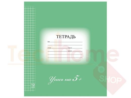 Тетрадь 12л. BRAUBERG ЭКО 