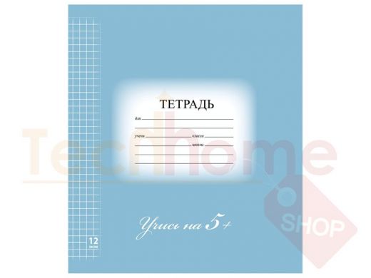 Тетрадь 12л. BRAUBERG ЭКО 