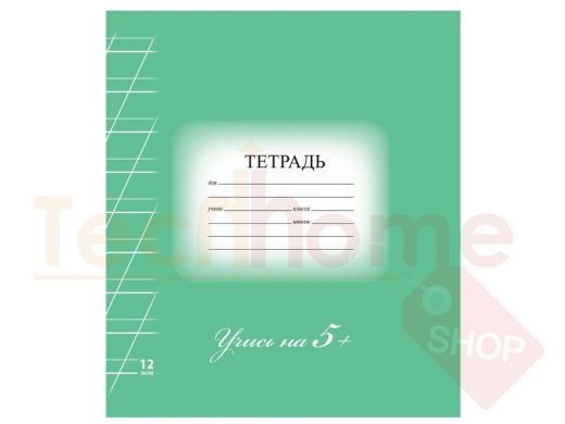 Тетрадь 12л. BRAUBERG ЭКО 