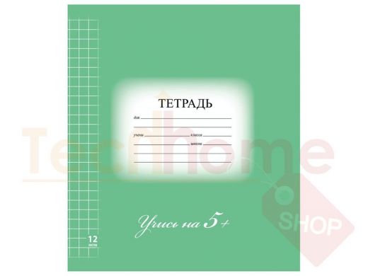 Тетрадь 12л. BRAUBERG ЭКО 