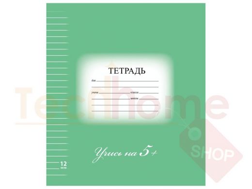 Тетрадь 12л. BRAUBERG ЭКО 