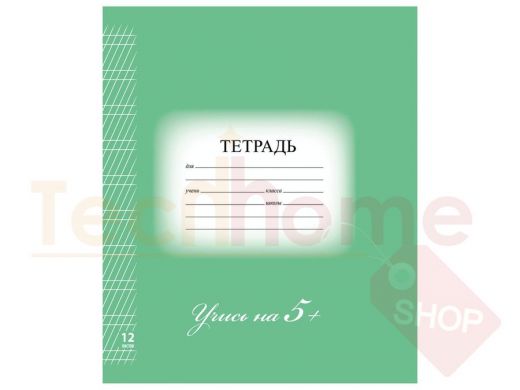 Тетрадь 12л. BRAUBERG ЭКО 