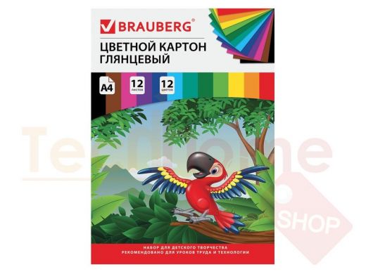 Картон цветной А4 МЕЛОВАННЫЙ, 12л. 12цв., в папке, BRAUBERG, 200х290мм, Килиманджаро