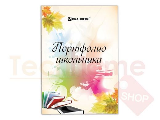 Листы-вкладыши для портфолио ШКОЛЬНИКА, 30 разделов, 32 листа, МОЁ ПОРТФОЛИО, BRAUBERG